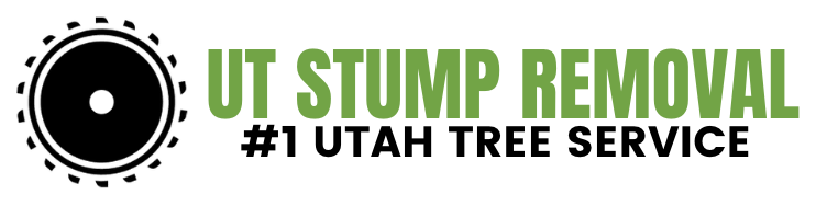 UT Stump Removal